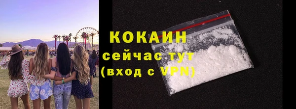 винт Гусь-Хрустальный