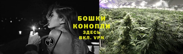 мет Гусев