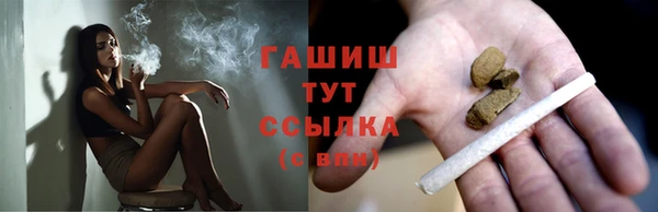 винт Гусь-Хрустальный