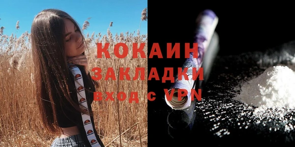 мет Гусев