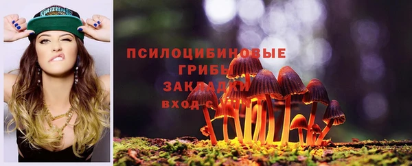 хмурый Дмитриев