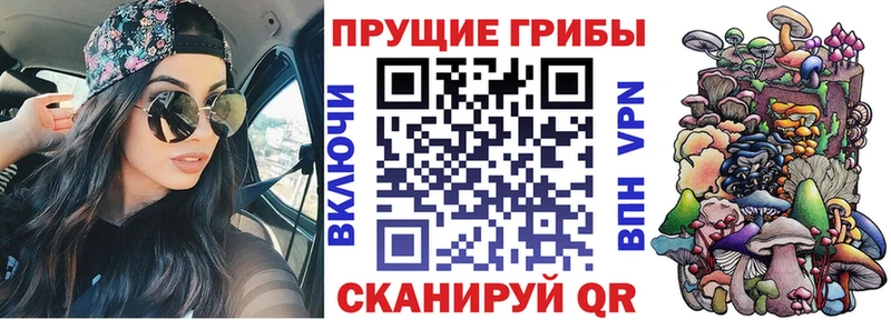 Псилоцибиновые грибы мицелий  KRAKEN tor  Заволжск 